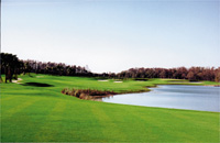 Sarasota Florida Golf: Stoneybrook Golf and Country Club