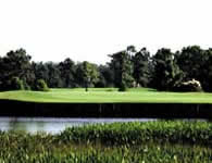 Bradenton Florida Golf: The River Club